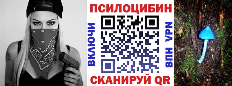 Галлюциногенные грибы Psilocybine cubensis Хасавюрт